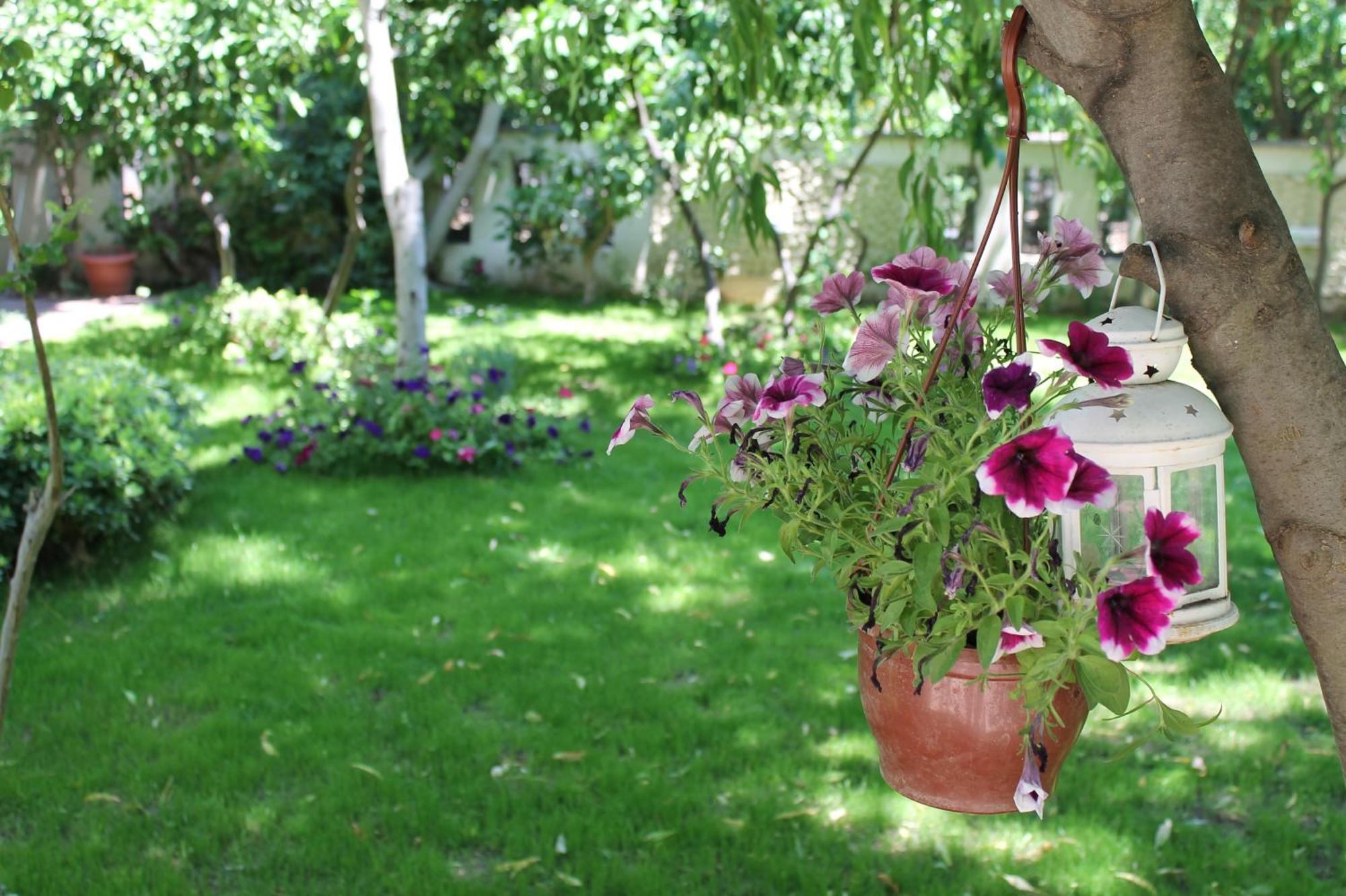 Bella Garden Hotel Bodrum Eksteriør billede